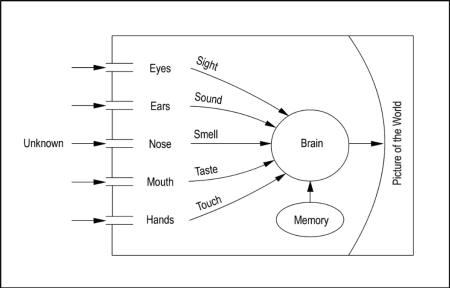 Perception of Reality Diagram