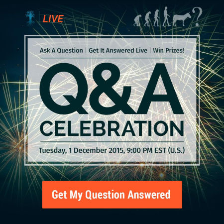 What Is the Meaning of Life, the Universe and Everything? - Q&A Celebration 2015