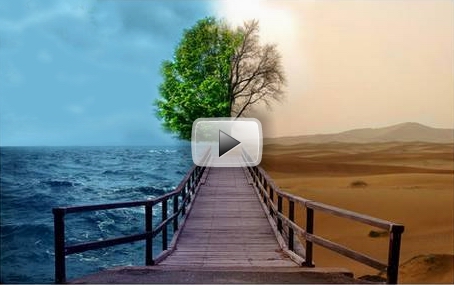 What Is The Difference Between Animals & Humans? What Is The Difference Between Animals & Humans?