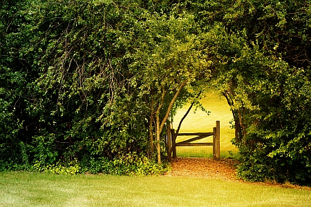 5 Rules that Will Unlock the Book of Zohar for You