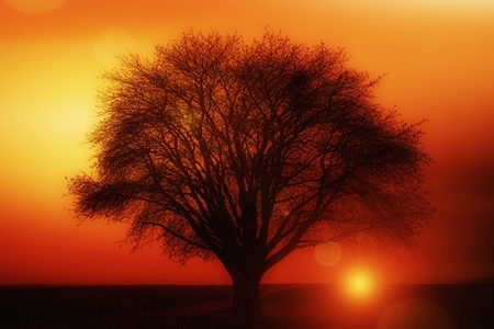 Developing the Right Fear and Desire for Spiritual Advancement