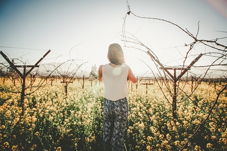 Finding Freedom of Choice in Life