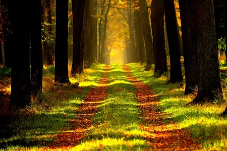 How to Develop Selfless Love for the Creator