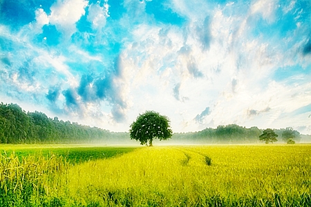 How to Develop a Desire to Reveal the Creator