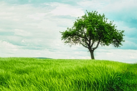The Transformation of Egoism into Altruism