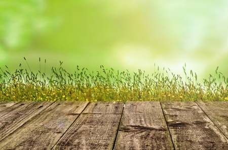 Three Sources for True Freedom You Don't Want to Miss Out On
