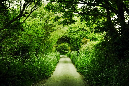 Tips to Speed Up Spiritual Development