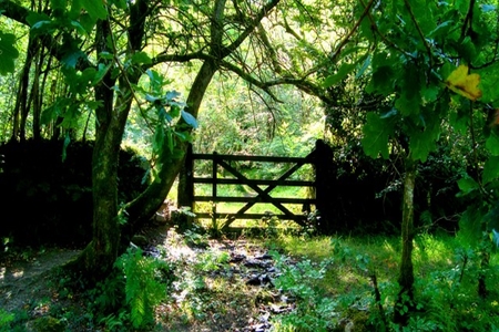 Unlocking the Secret of Spiritual Advancement