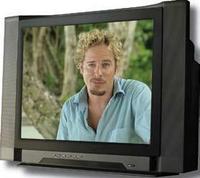Survivor - Reality TV or Real Life?