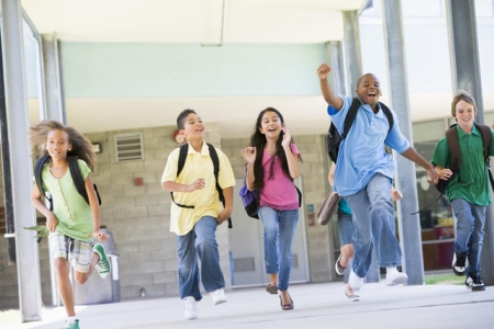 The Importance Of Excursions In Children's Integral Education