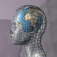 Perception of Reality