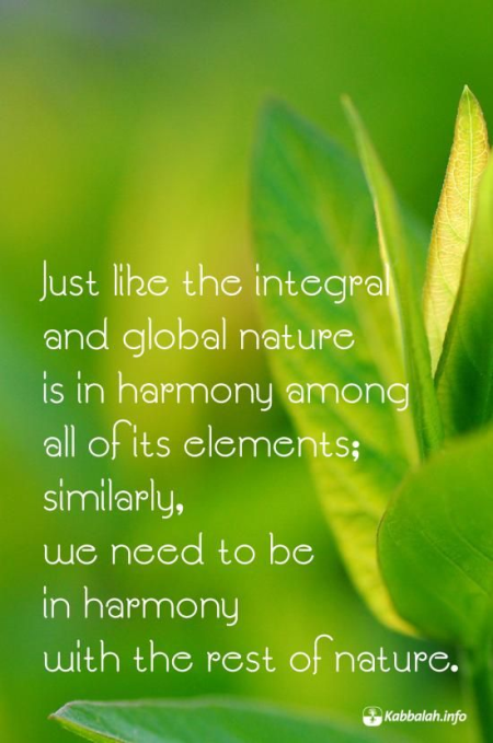 Just Like the Integral and Global Nature Is in Harmony [Kabbalah Quote]