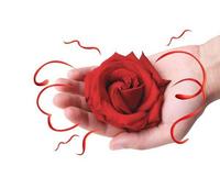 Love, Deciphered