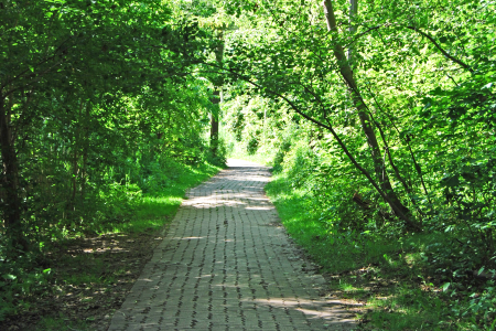The Guide to Develop a Positive Relationship with Nature