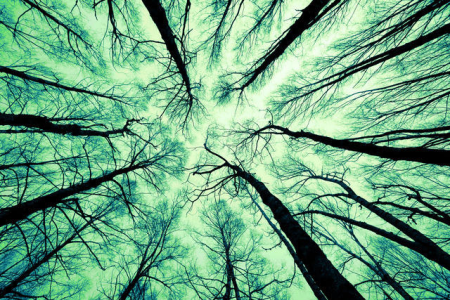 Want to Develop Your Sixth Sense? Read This
