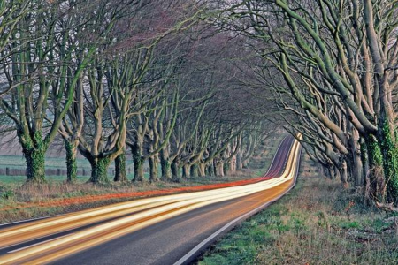 What Does Kabbalah Have to Say about Free Will?