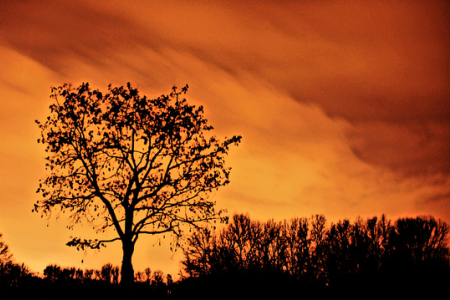Why Now Is the Time of Deliverance & the Great Gift It Offers