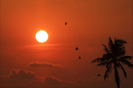Why You Feel Trapped by Life and  Where You Can Find True Freedom